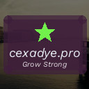 cexadye.pro